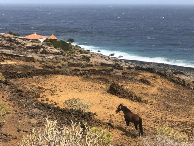 Casa La Lachita La Torre  エクステリア 写真